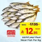 Nicer Fish Per Kg