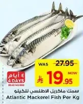 Atlantic Mackerel Fish Per Kg