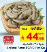 Shrimp Farm 30/40 Per Kg