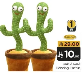 Dancing Cactus