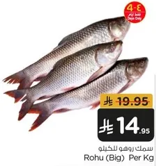 Rohu (Big) Per Kg