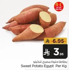 Sweet Potato Egypt Per Kg