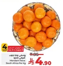 Mandarin Nova from South Africa per Kg.