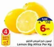 Lemon Big Africa Per Kg