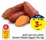 Sweet Potato Egypt Per Kg