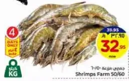 Shrimps Farm 50/60