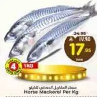 Horse Mackerel Per Kg