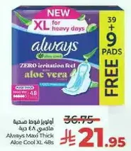 Always Maxi Thick Aloe Cool XL 48s