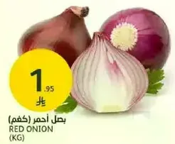Red Onion