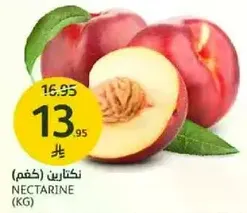 Nectarine