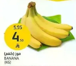 Bananas