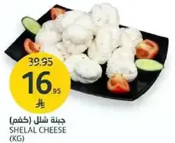 جبنه شلال (كغم)