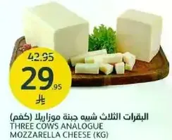 البقرات الثلاث شبه حبه موزاريلا (كغم)