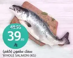 Whole Salmon (KG)