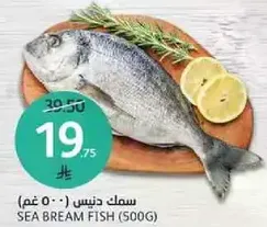 Sea Bream Fish (500g)