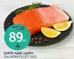 Salmon fillet (kg)