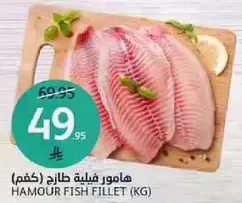 Hamour fish fillet (kg)