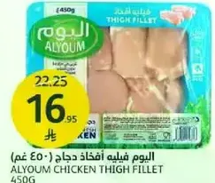 Alyoum Chicken Thigh Fillet 450g