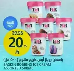 Baskin Robbins Ice Cream Assorted 500ml