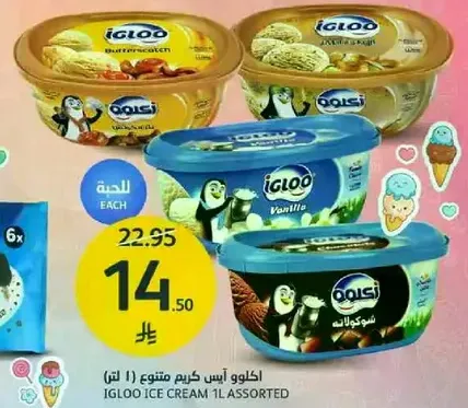 Igloo Ice Cream 1L Assorted