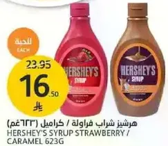 HERSHEY'S SYRUP STRAWBERRY / CARAMEL 623G