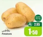 Potatoes
