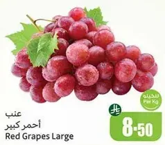 Red Grapes Large