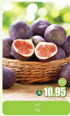 Fig