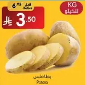 Potato