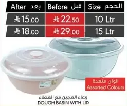 Dough basin with lid