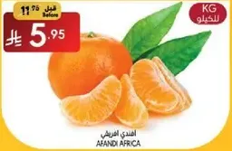 Afandi Africa oranges, fresh and juicy.