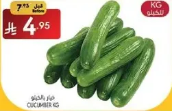Cucumber KG