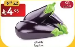 Eggplant