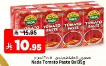 Nada Tomato Paste 8x135g