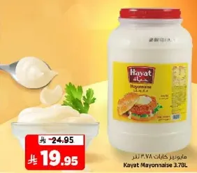 Hayat Mayonnaise 3.78L