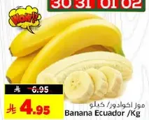 Banana Ecuador / Kg