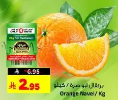 Orange Navel / Kg