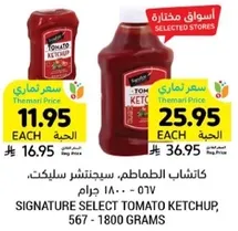 Signature Select Tomato Ketchup, 567 - 1800 grams