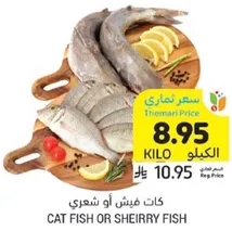 Cat fish or Sheirry fish