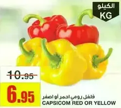 Capsicum red or yellow