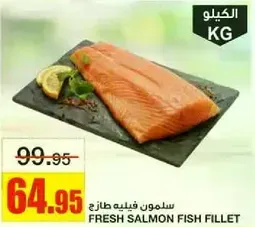 Fresh salmon fish fillet