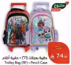 Trolley Bag (16