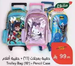 Trolley Bag (16
