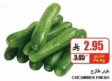 Fresh cucumbers.