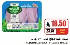 Alyoum Chicken Breast Fillets 450g