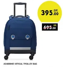Academic vertical trolley bag.