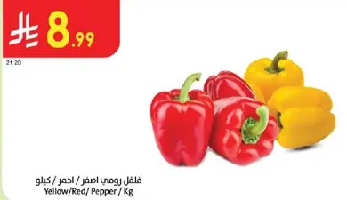Yellow/Red/ Pepper / Kg