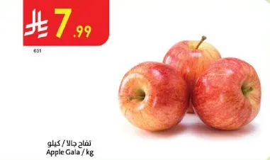 Gala Apples / kg