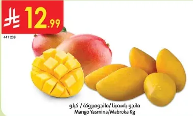 Mango Yasmina