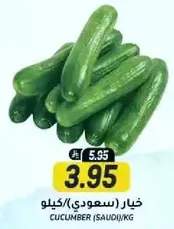 Cucumber (Saudi) per kg.
